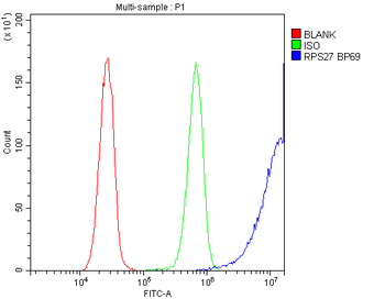 Anti-MPS1/RPS27 Antibody
