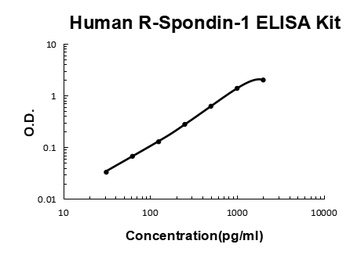 Human R-Spondin-1 ELISA Kit