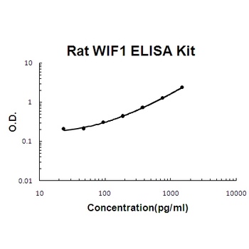 Rat WIF1/Wnt inhibitory factor 1 ELISA Kit