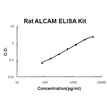 Rat ALCAM/CD166 ELISA Kit