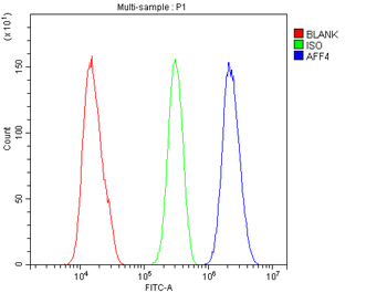 Anti-AFF4 Antibody