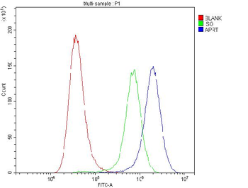 Anti-APRT Antibody