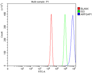 Anti-ARFGAP1 Antibody