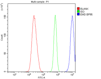 Anti-Emerin/EMD Antibody