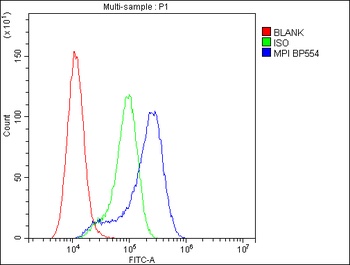 Mannose Phosphate Isomerase/MPI Antibody
