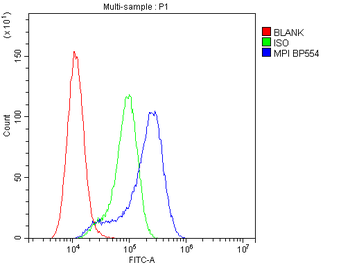Anti-Mannose Phosphate Isomerase/MPI Antibody