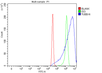 Anti-Beta Tubulin/TUBB Antibody