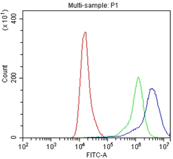 Anti-IFNGR1 Antibody