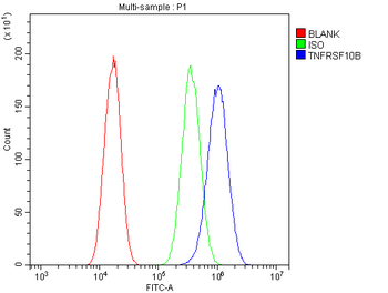 Anti-DR5/TNFRSF10B Antibody