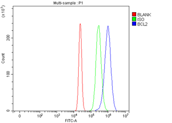 Anti-Bcl-2/BCL2 Antibody