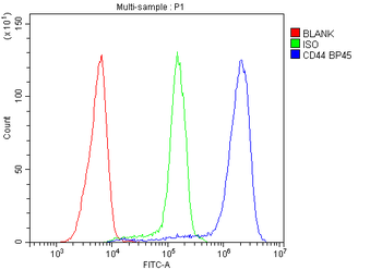 Anti-CD44 Antibody