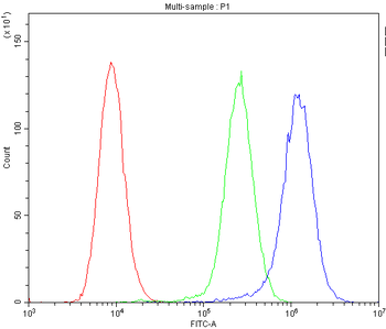 Anti-ICOS Antibody