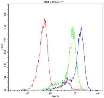 Anti-CLPX Antibody