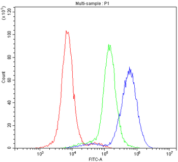 Anti-RAB27A Antibody