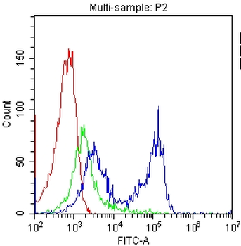 Anti-CD7 Antibody