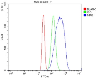 Myeloperoxidase/MPO Antibody