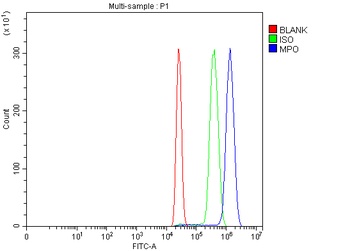 Anti-Myeloperoxidase/MPO Antibody