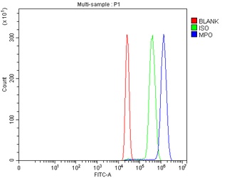 Myeloperoxidase/MPO Antibody