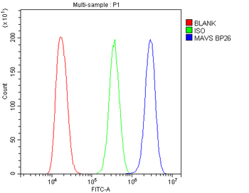 Anti-MAVS Antibody