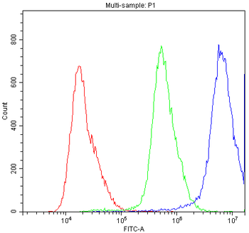 Anti-SUR1/ABCC8 Antibody