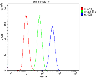 Anti-VEGF Receptor 2/Kdr Antibody