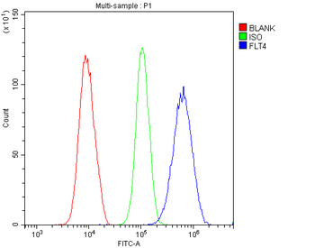 Anti-VEGF Receptor 3/FLT4 Antibody
