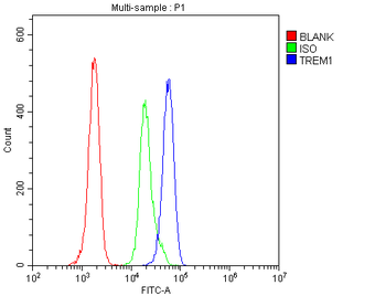 Anti-TREM1 Antibody