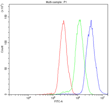 Anti-NFATC4 Antibody
