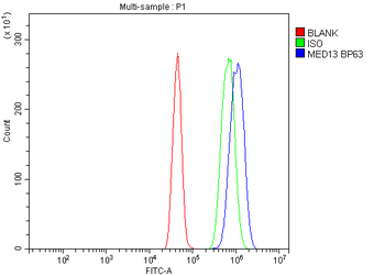 Anti-MED13 Antibody