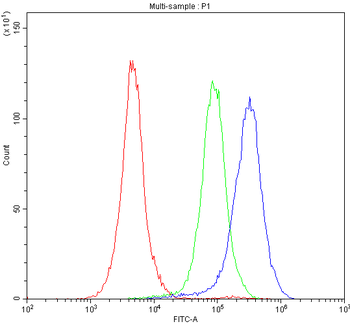 Anti-CD62P/Selp Antibody