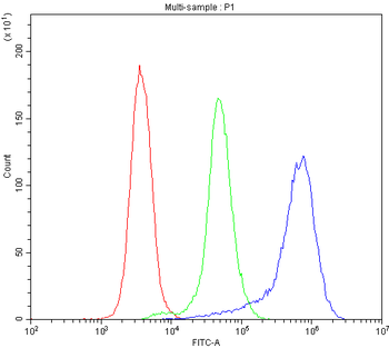 Anti-TLR1 Antibody