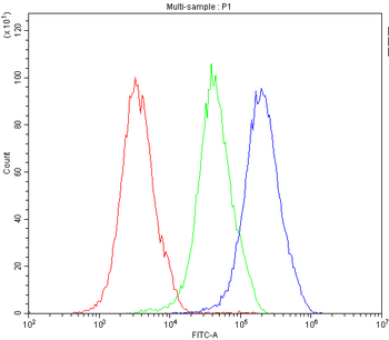 Anti-MVP Antibody