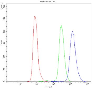 Anti-PDE4D Antibody
