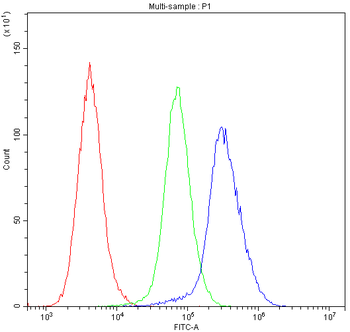 Anti-Insulin degrading enzyme/IDE Antibody