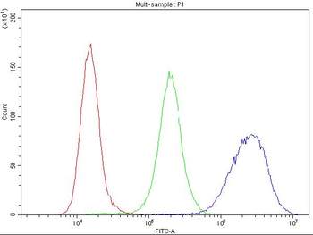 Anti-CCR3 Antibody