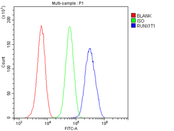 Anti-RUNX1T1/ETO Antibody