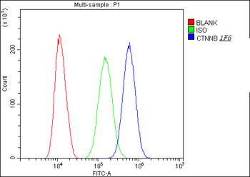 Anti-beta Catenin CTNNB1 Antibody (monoclonal, 1F6)