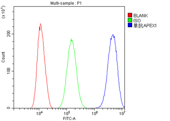 Anti-APE1 APEX1 Antibody (monoclonal, 5C11)