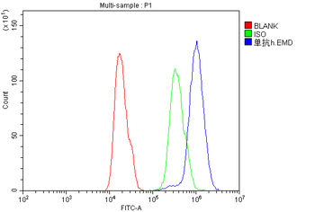 Anti-Emerin EMD Antibody (monoclonal, 5A10)