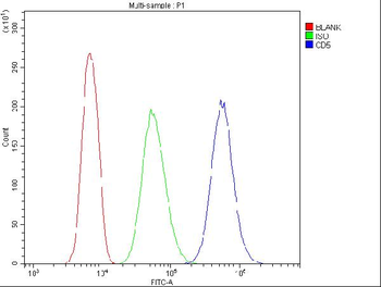 Anti-CD5 Antibody