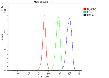 Anti-NF-kB p65/RELA Antibody