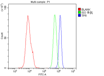 Anti-TPR Antibody