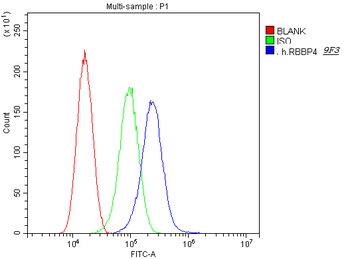 Anti-RbAp48 RBBP4 Antibody (monoclonal, 9F3)