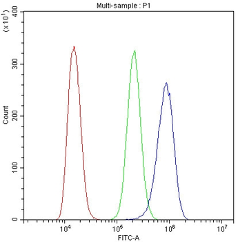 Anti-Cytochrome C CYCS Antibody (monoclonal, 15F10)