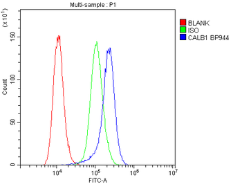 Anti-Calbindin/CALB1 Antibody