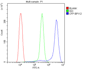 Anti-CFP Antibody