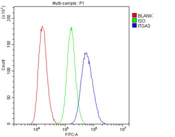 Anti-Integrin alpha 3/ITGA3 Antibody