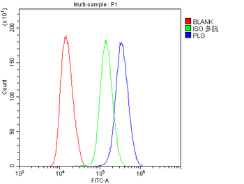 Anti-Plasminogen/PLG Antibody