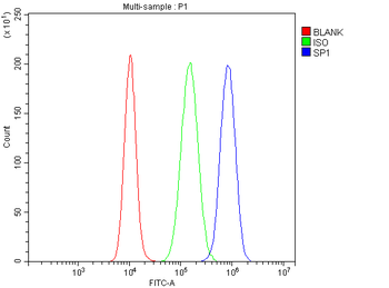 Anti-SP1 Antibody