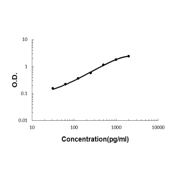Anti-CD137/Tnfrsf9 Antibody